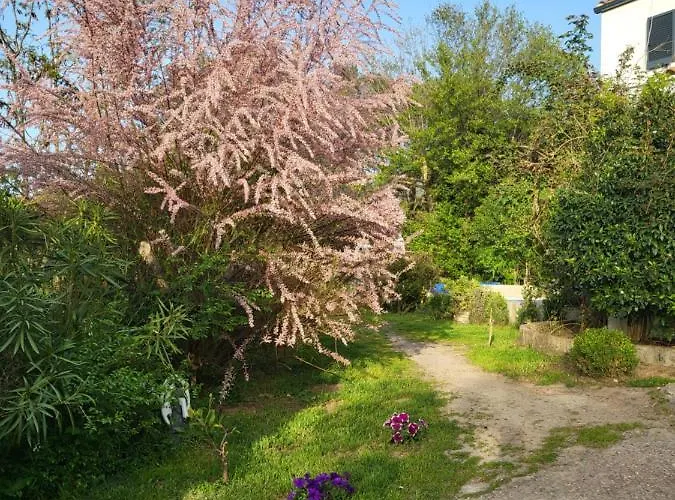 Apartmán A Gravona