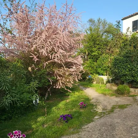 Apartment A Gravona