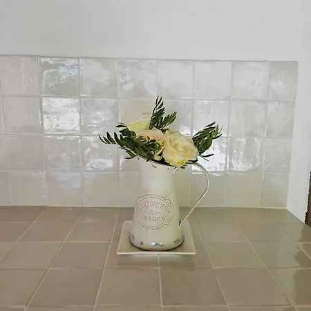 A Gravona Apartment Ajaccio (Corsica)