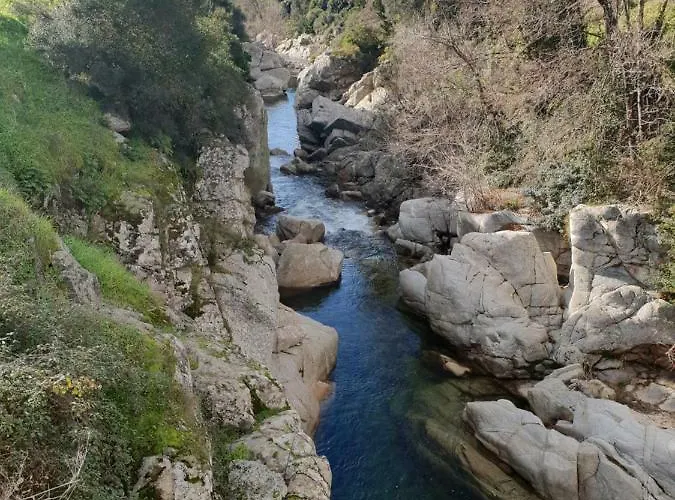 A Gravona